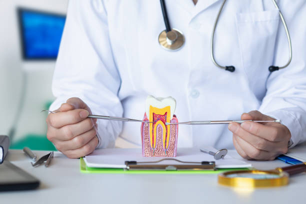 Dentist for Dental Trauma in TX